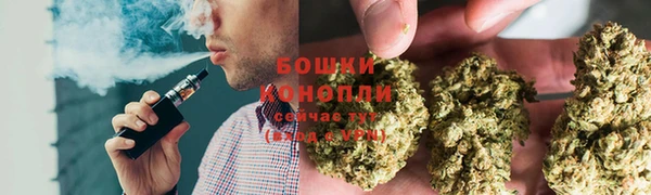 MESCALINE Бородино