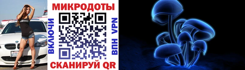 Псилоцибиновые грибы мухоморы Верхняя Пышма