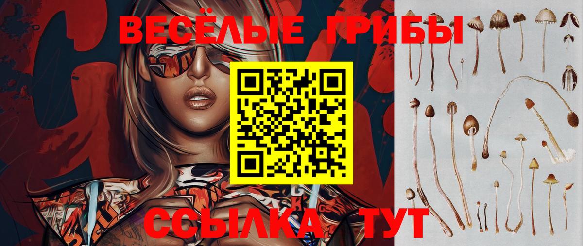 Псилоцибиновые грибы GOLDEN TEACHER Верхняя Пышма