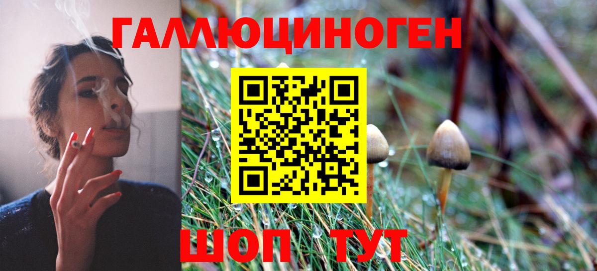 Псилоцибиновые грибы Psilocybine cubensis  Вход с VPN  купить наркотик  Верхняя Пышма 